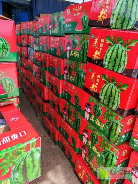 8424西瓜价格