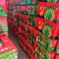 河南周口太康西瓜）主营8424美都西瓜，代办代收