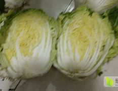 宁夏娃娃菜直销