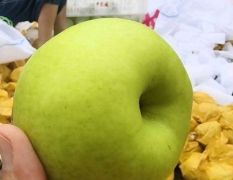 梨，酥脆一号，翠玉，翠冠等各种梨产