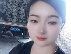 河南焦作紫光圆茄代办高敏诚信代收