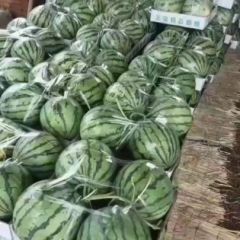 开封美嘟大量上市