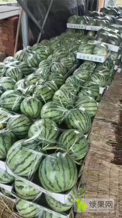 美嘟价格