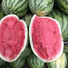 金城五，地雷，甜王