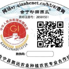 甘肃会宁扎子塬