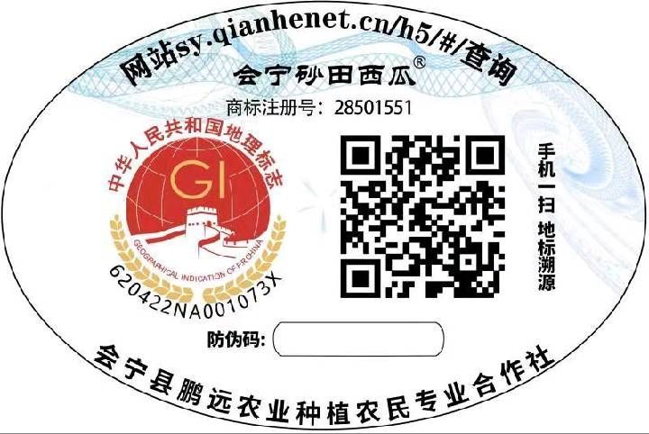 2025年甘肃会宁硒砂瓜价格