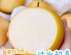 山东水果秋月梨产地支持一件代发