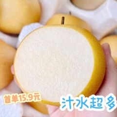 山东水果秋月梨产地支持一件代发