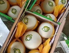 河北饶阳县，代购代销原产地瓜果，蔬菜，葡萄