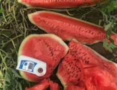 内蒙通辽西瓜代办大龙13847553009