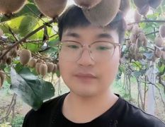 周至翠香猕猴桃|超市团购|公司送礼|【源头供应】