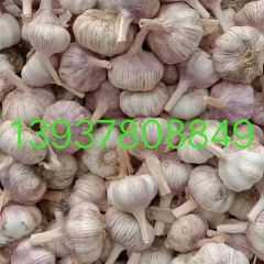 https://lgpic.com/litimg/202507/4/281986_OccWHc_s.jpg