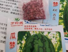 高品质礼品瓜