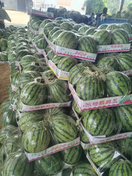 美都价格