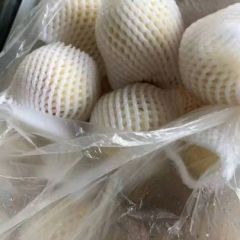 辛集绿宝石梨大量有货