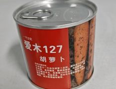 爱木127胡萝卜种子