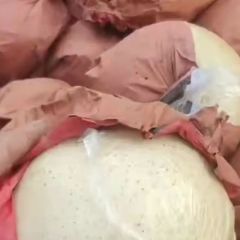 山东梨子产地黄金梨圆黄梨丰水梨秋月梨