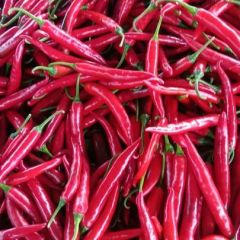 本地辣椒大量上市中