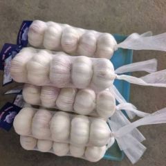 蒜香四溢,金乡大蒜源头直供,品质价格双优