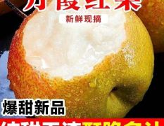 丹霞红梨！