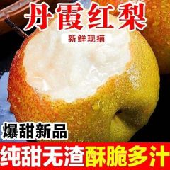 丹霞红梨！