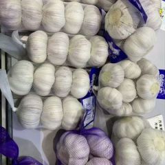 2025年大蒜行情综合分析