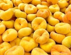 桃树苗，蜜桃苗，水蜜桃苗，黄桃蟠桃苗供应