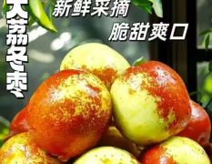 大荔冬枣，陕西大荔冬枣，大荔冬枣产地，大荔冬枣价