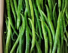 各种辣椒大量上市