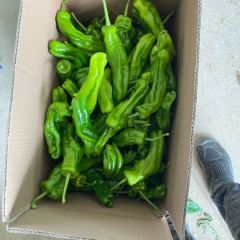 芜湖椒产地直发，保质保量，诚信合作