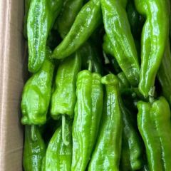 大量供应需要的联系1755003683