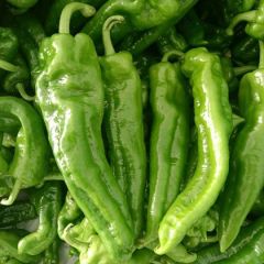 泡椒，301辣椒产地，代发全国各地