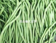 山西省应县大量供应架豆王，白不老，牛椒，