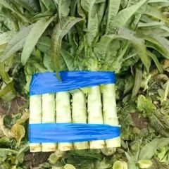 宿州埇桥产区，一手货源，可供市场，电商，