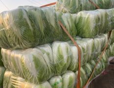 北京新三号大量上货中，欢迎采购