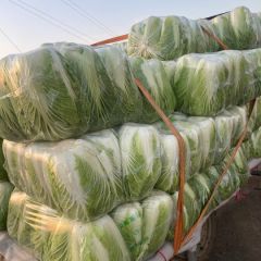 北京新三号大量上货中，欢迎采购