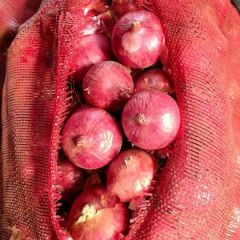 红皮洋葱价格便80以上，80以下大量供应