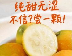 脆蜜金桔现货供应，品质好，含糖高，有意愿