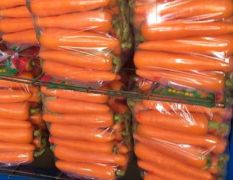 求购精品胡萝卜