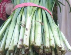 沂源韭菜大量上市
