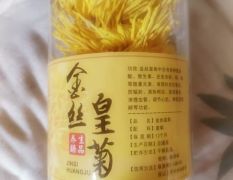 金丝皇菊   种苗     菊花茶