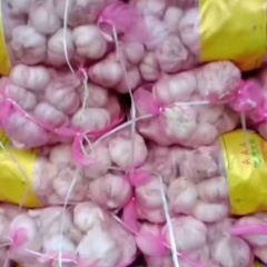 杞县路路发大蒜收购处