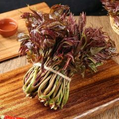 蒙阴岱崮镇高一2月供应香椿香椿产地直供