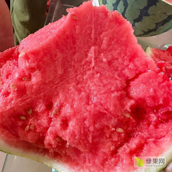 河南商丘大棚西瓜《早熟西瓜批发基地》夏邑无籽西瓜 - 珍汇选
