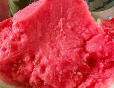 河南商丘大棚西瓜《早熟西瓜批发基地》夏邑无籽西瓜