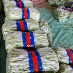 山东阳谷辣椒辣椒随行就市 全是暖棚刚下来的货
