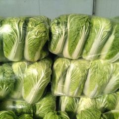 陕西三原青杂三号白菜 包装配车一条龙