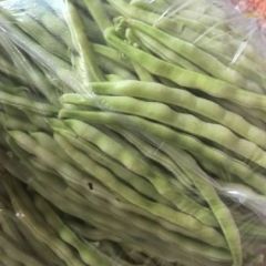 山东沂水县芸豆产地直发