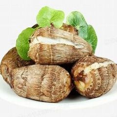 山东毛芋头产地价格