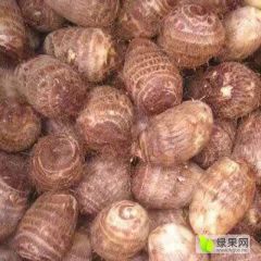 云南建水县甸尾乡常年有牛奶芋头出售